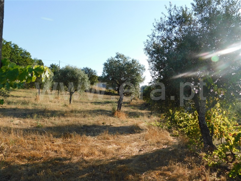 Terreno  Seia, Seia - 1196805 - 8