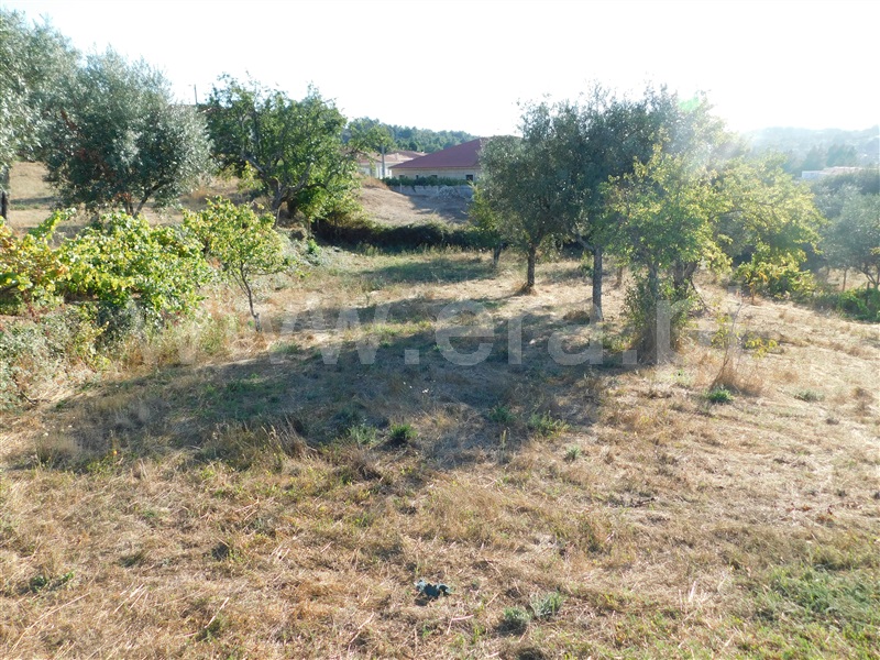 Terreno / Seia, Seia