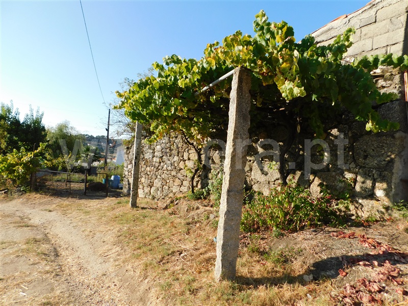 Terreno  Seia, Seia - 1196805 - 11