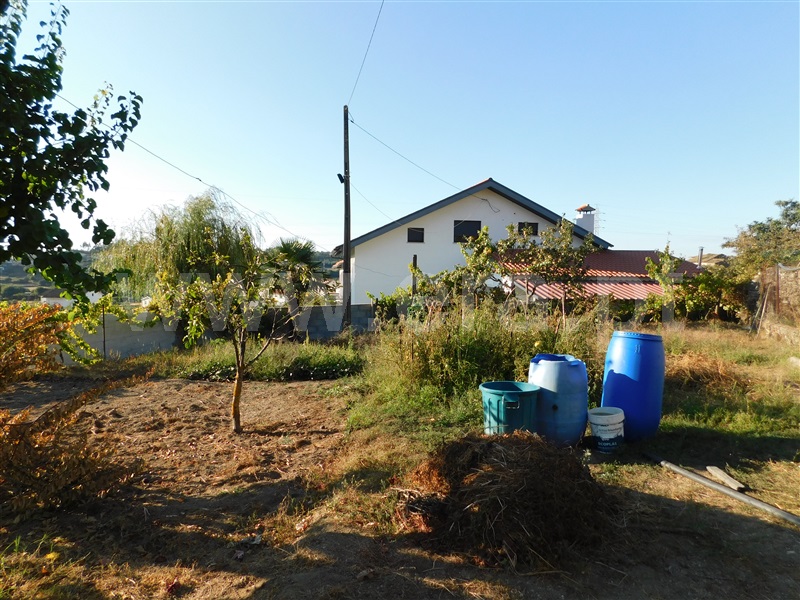 Terreno  Seia, Seia - 1196805 - 13