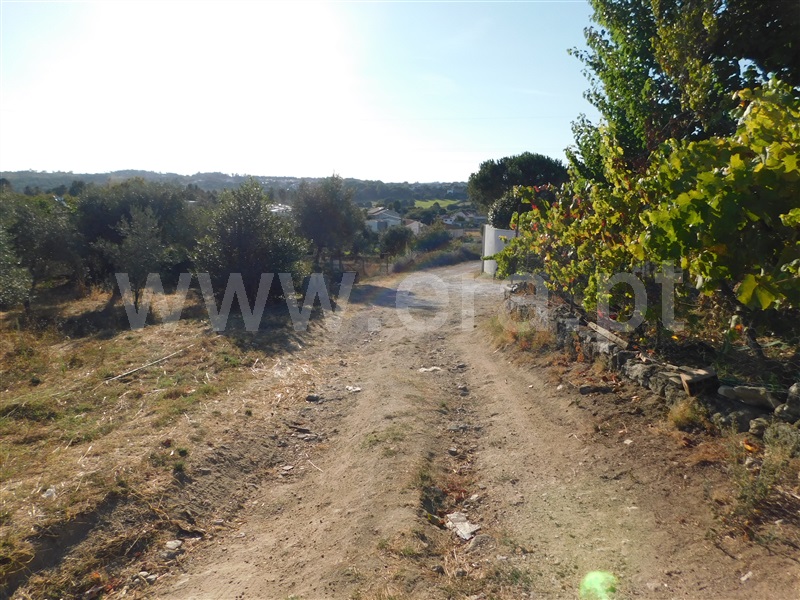 Terreno  Seia, Seia - 1196805 - 15