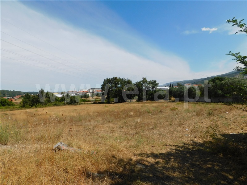 Terreno / Seia, Seia