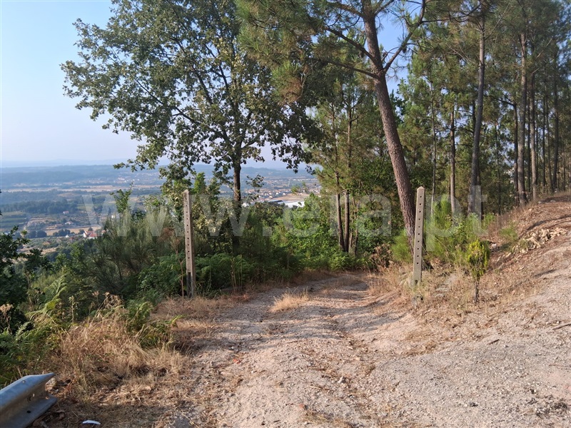 Terreno / Seia, Seia