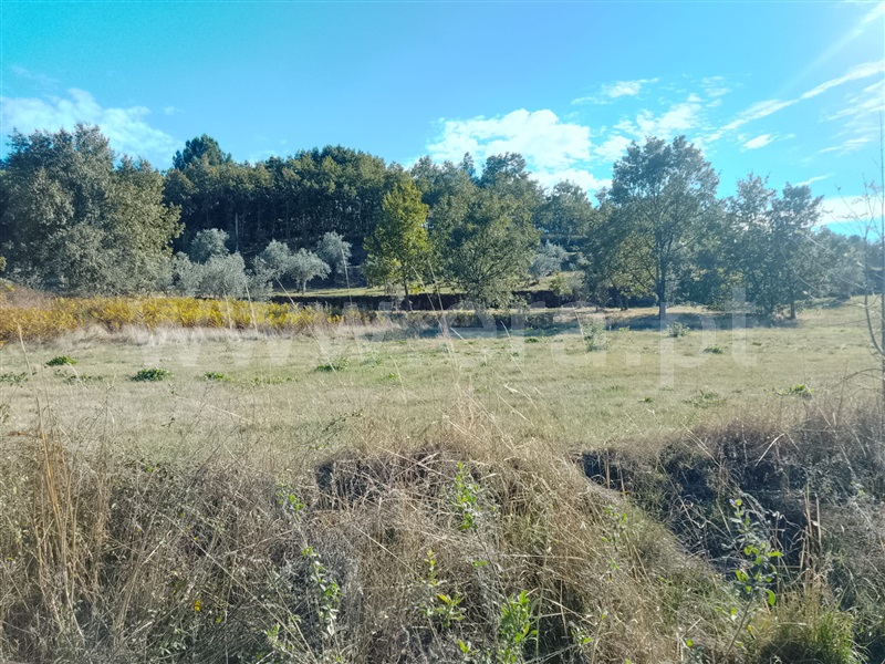 Terreno / Seia, Seia