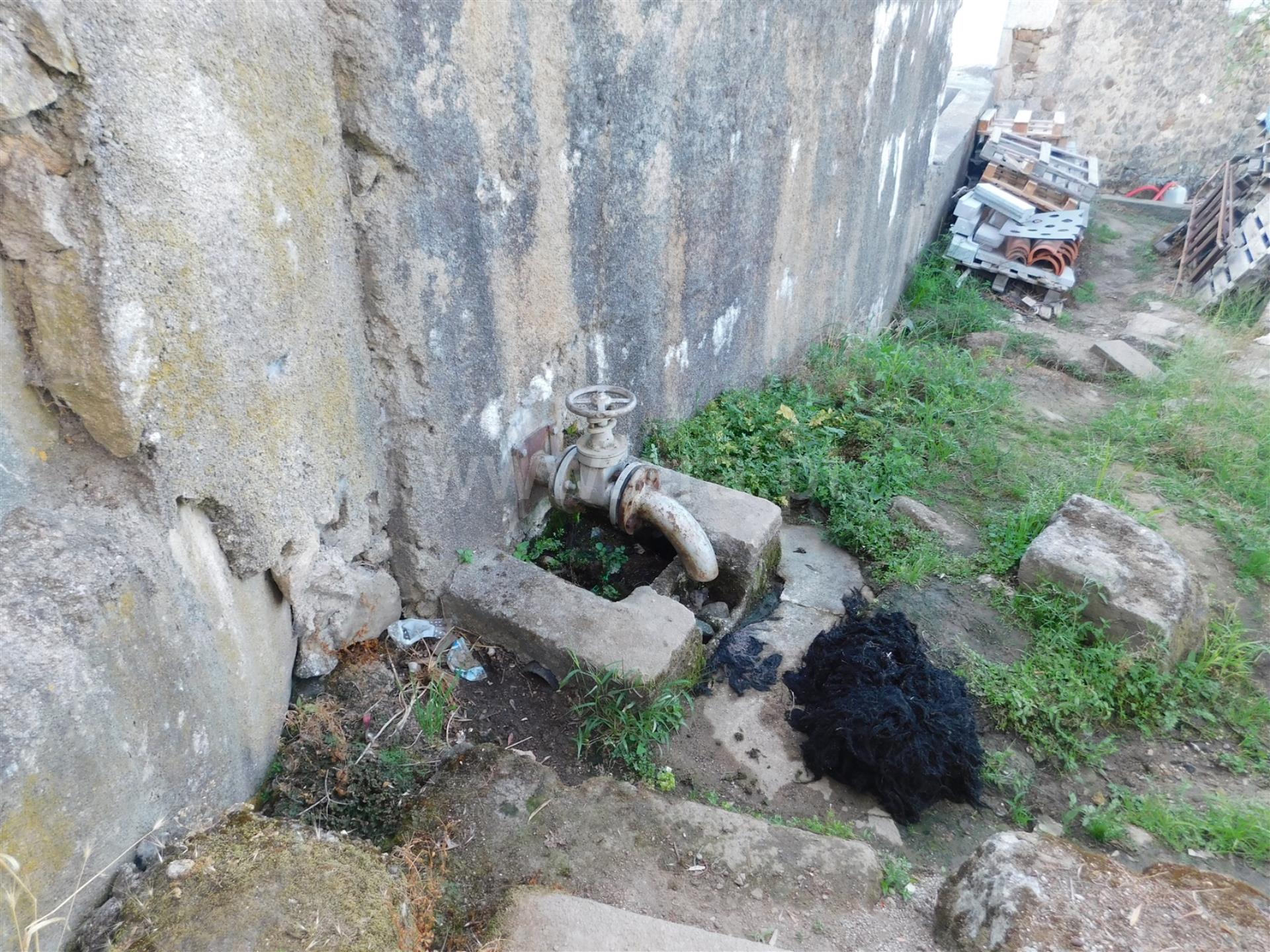 Água da nascente 