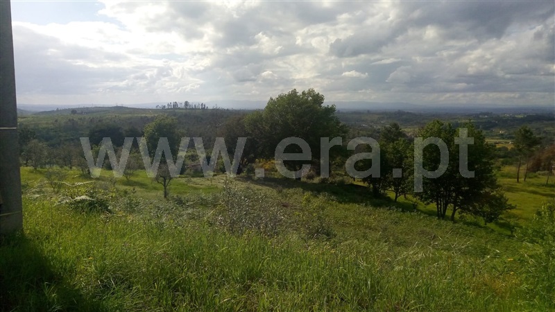 Terreno  Seia, Torrozelo e Folhadosa - 1424912 - 1