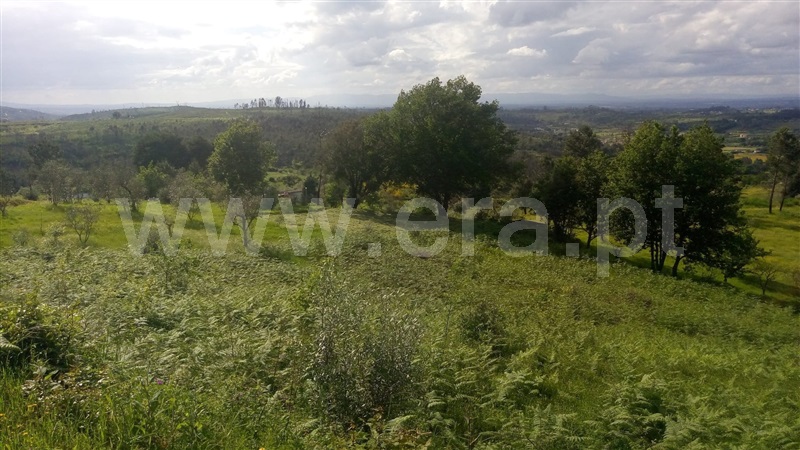 Terreno  Seia, Torrozelo e Folhadosa - 1424912 - 2