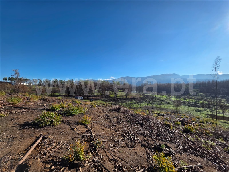 Terreno / Seia, Torrozelo e Folhadosa