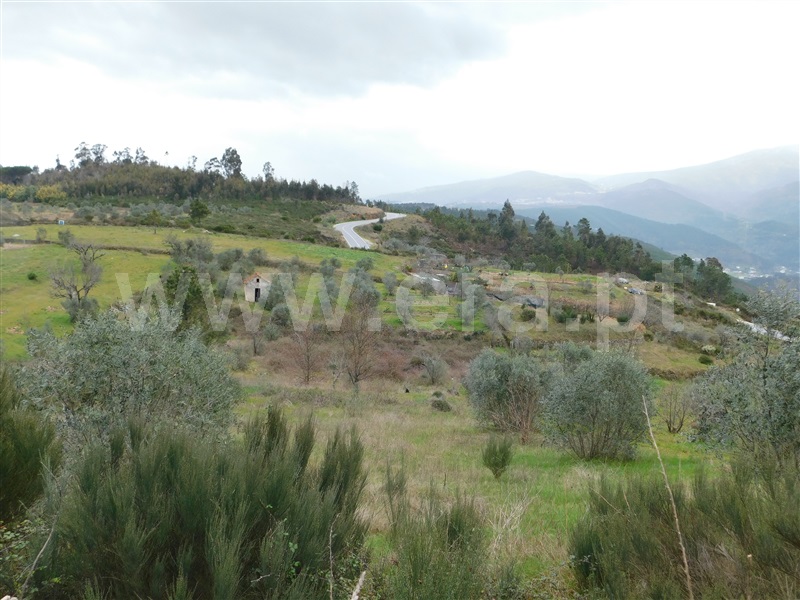 Terreno / Seia, Torrozelo