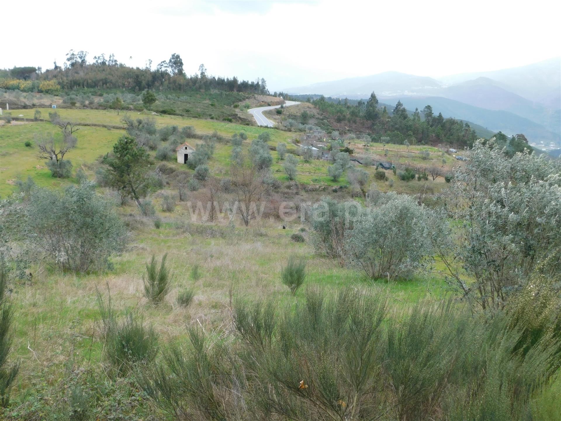 Terreno