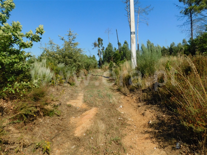 Terreno  Seia, Tourais e Lajes - 1281018 - 9