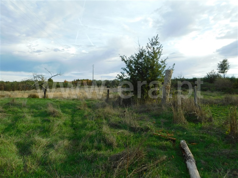 Terreno  Seia, Tourais e Lajes - 1285029 - 3