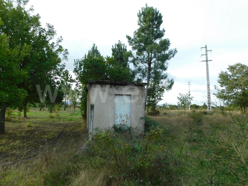 Terreno  Seia, Tourais e Lajes - 1285029 - 6