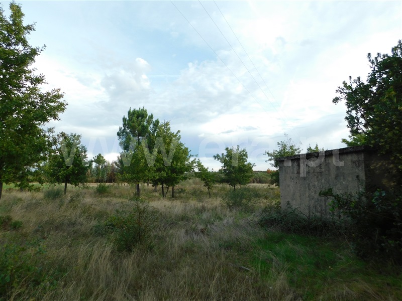 Terreno  Seia, Tourais e Lajes - 1285029 - 7