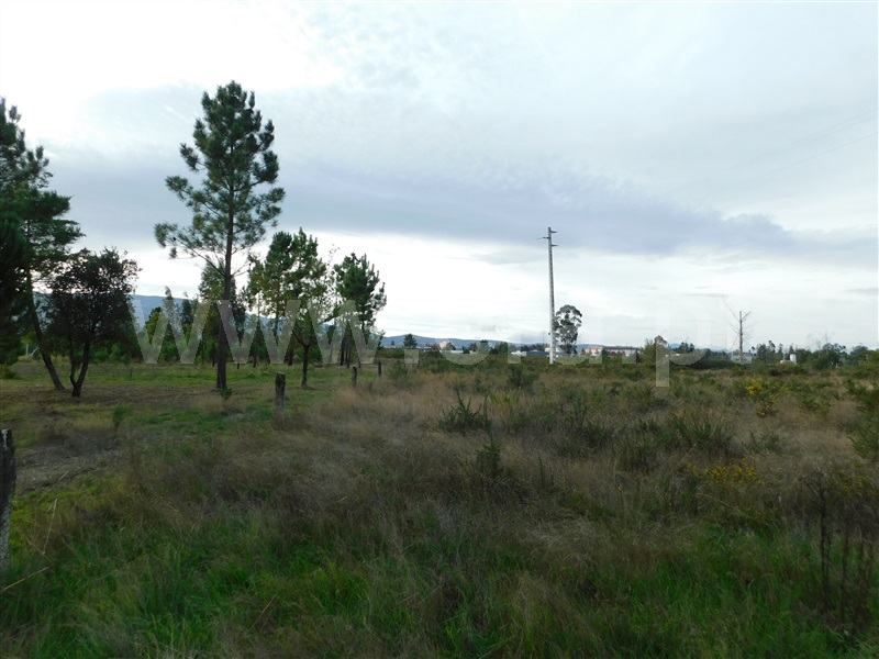 Terreno  Seia, Tourais e Lajes - 1285029 - 8