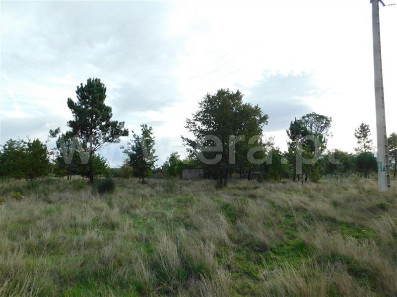 Terreno  Seia, Tourais e Lajes - 1285029 - 9