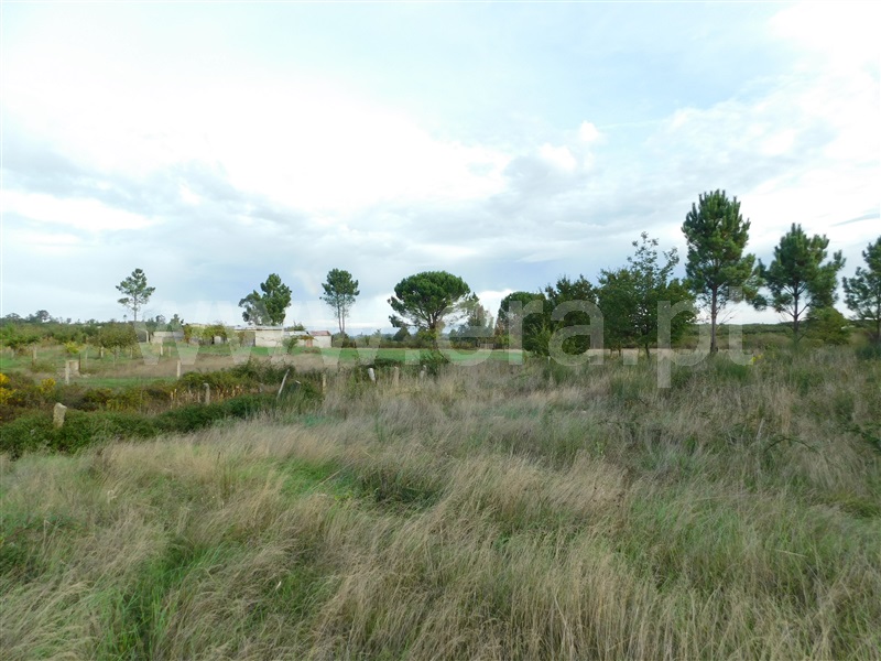 Terreno  Seia, Tourais e Lajes - 1285029 - 10
