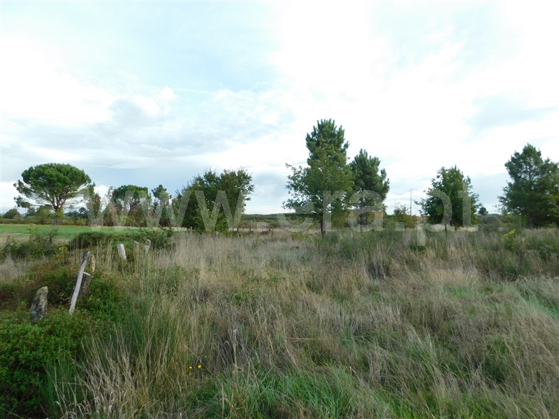 Terreno  Seia, Tourais e Lajes - 1285029 - 11