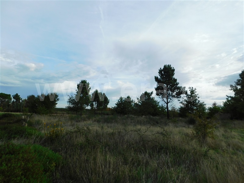 Terreno  Seia, Tourais e Lajes - 1285029 - 15
