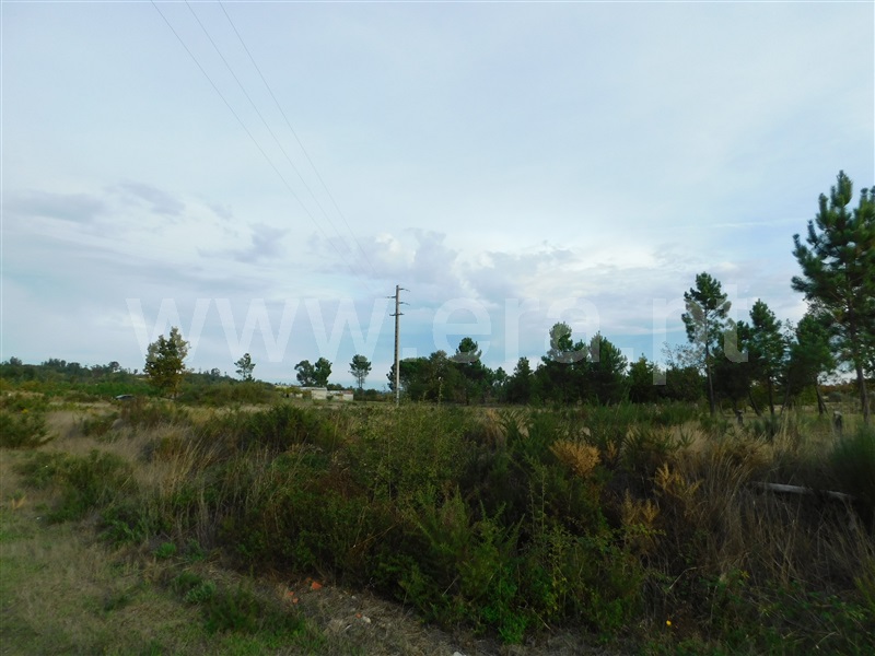 Terreno  Seia, Tourais e Lajes - 1285029 - 18