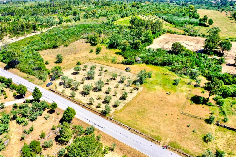 Terreno  Seia, Paranhos - 1330253 - 3