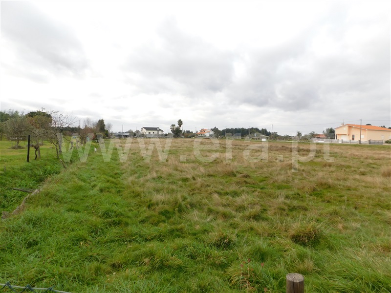 Terreno / Seia, Tourais e Lajes