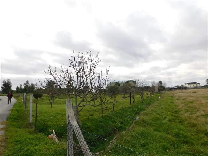 Terreno  Seia, Tourais e Lajes - 1372884 - 2