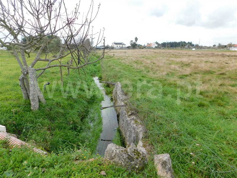 Terreno  Seia, Tourais e Lajes - 1372884 - 3