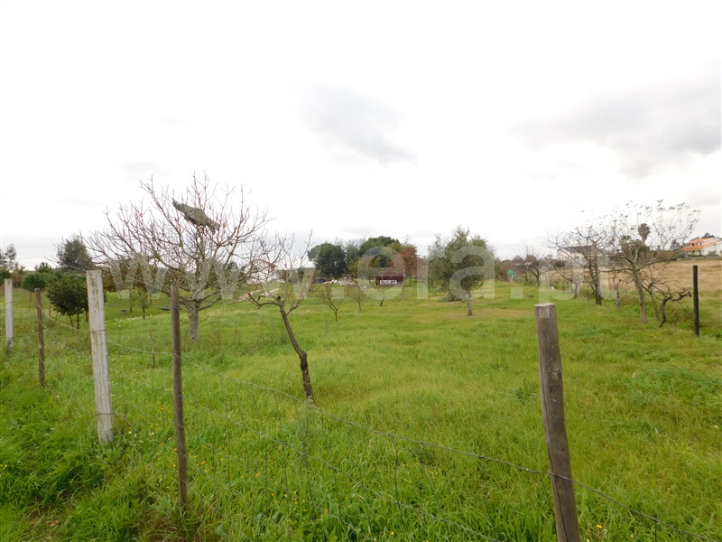 Terreno  Seia, Tourais e Lajes - 1372884 - 4