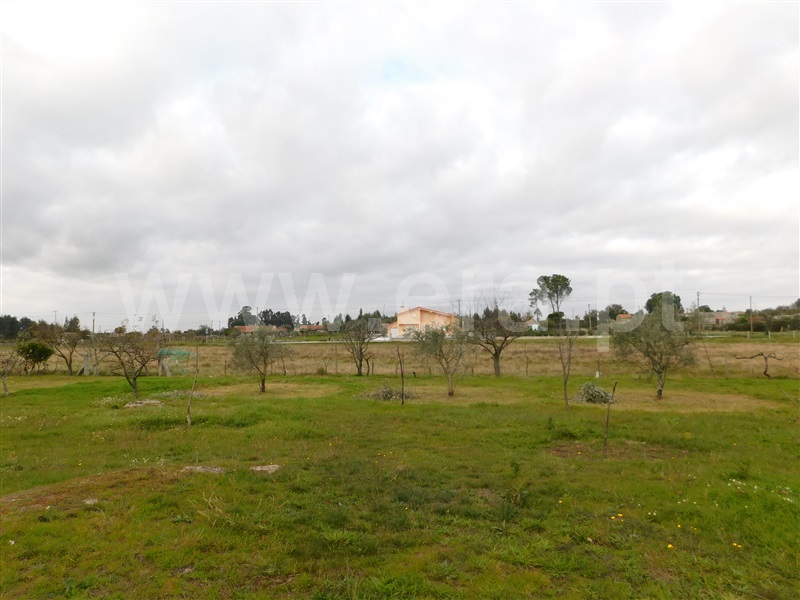 Terreno  Seia, Tourais e Lajes - 1372884 - 8