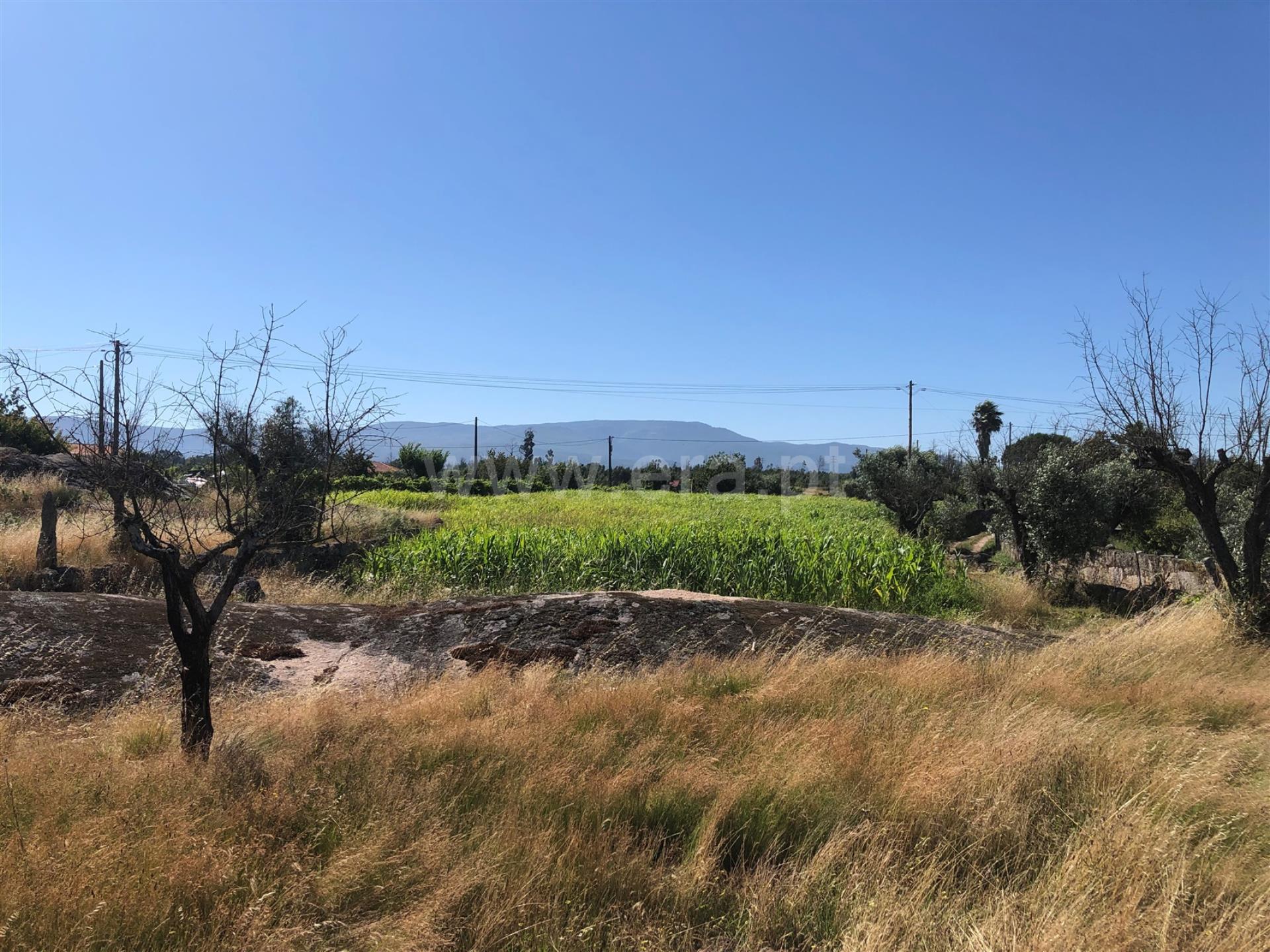 Terreno