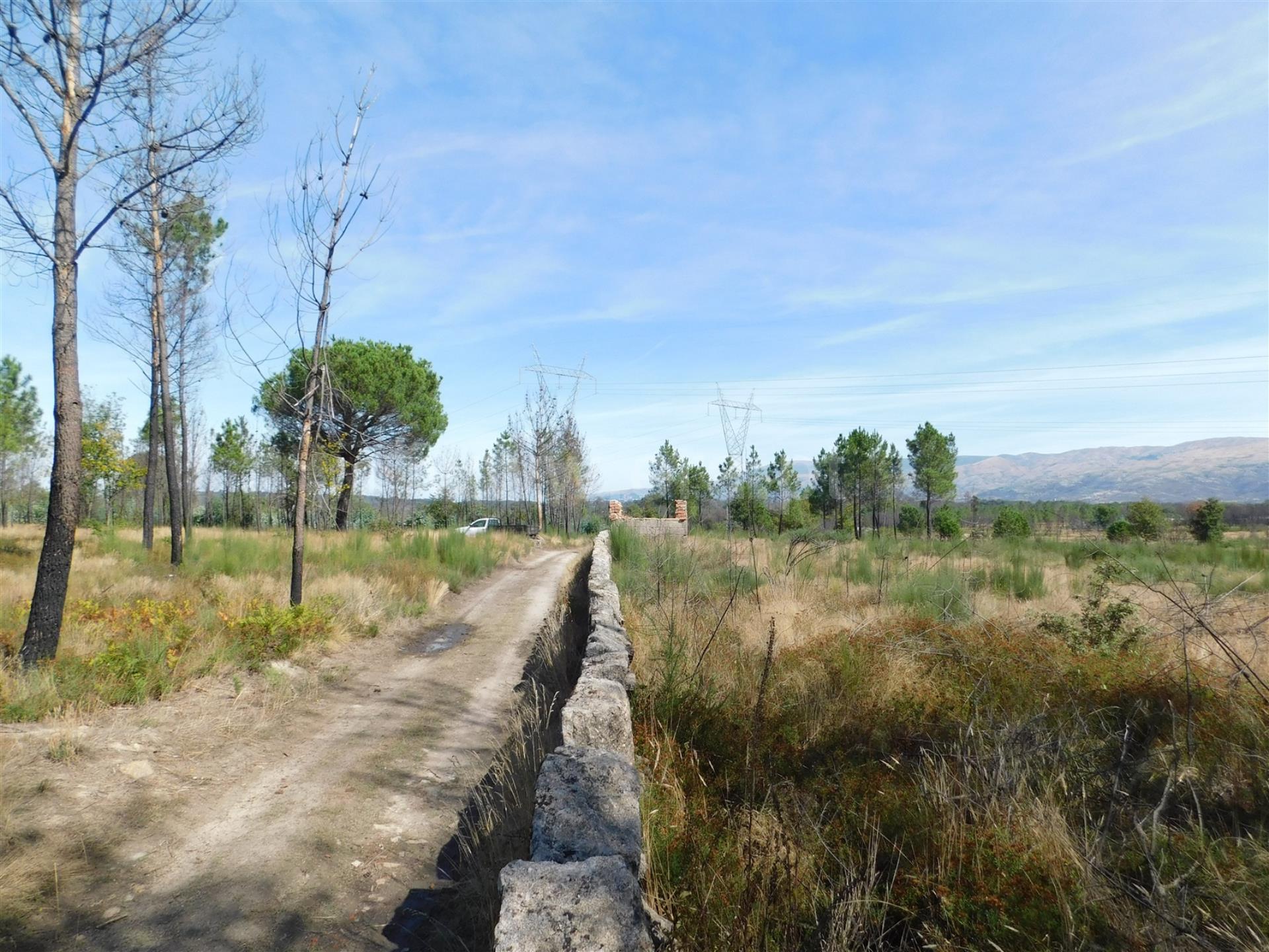 Terreno