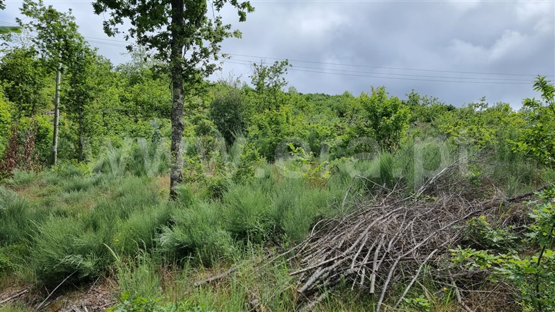 Terreno  Seia, Valezim - 1253489 - 5