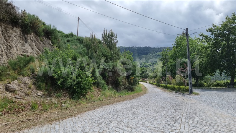 Terreno  Seia, Valezim - 1253489 - 6