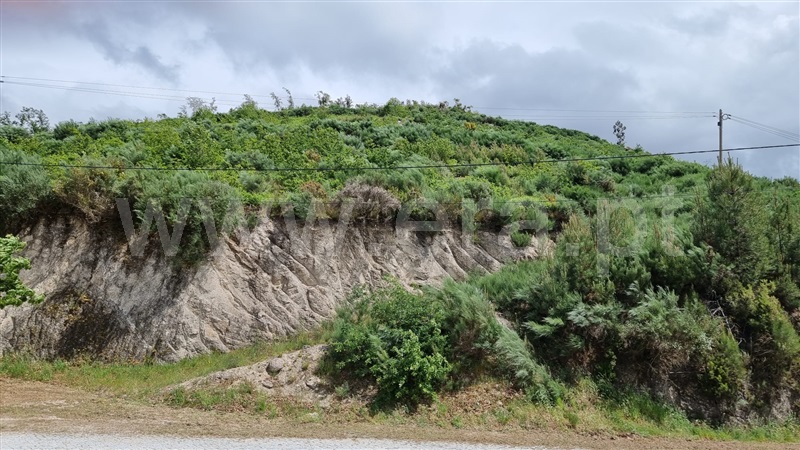 Terreno  Seia, Valezim - 1253489 - 7