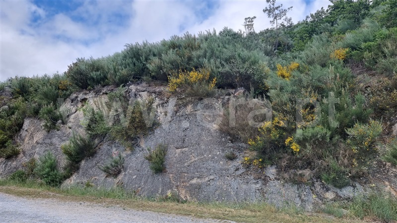 Terreno  Seia, Valezim - 1253489 - 8