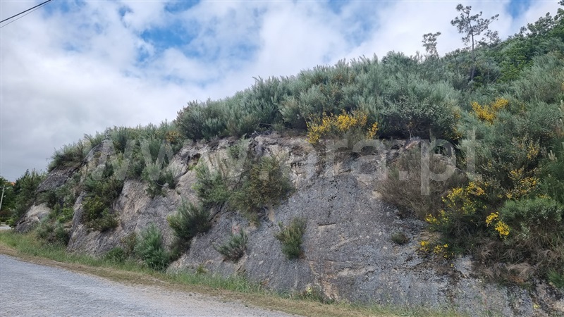 Terreno / Seia, Valezim