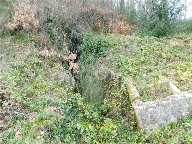 Terreno  Seia, Várzea de Meruge - 1197177 - 11