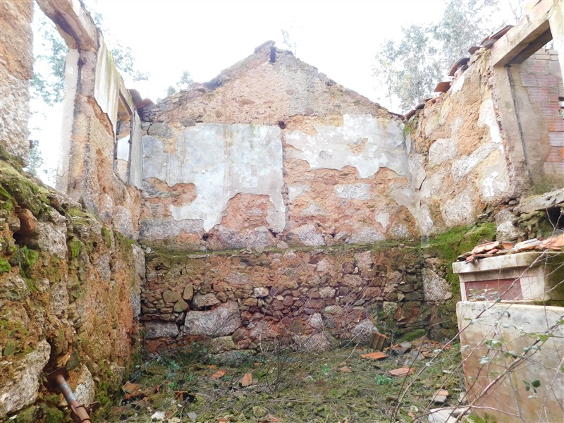 Terreno  Seia, Várzea de Meruge - 1197177 - 13