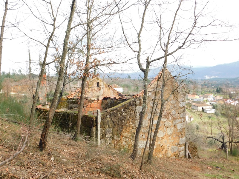 Terreno  Seia, Várzea de Meruge - 1197177 - 17
