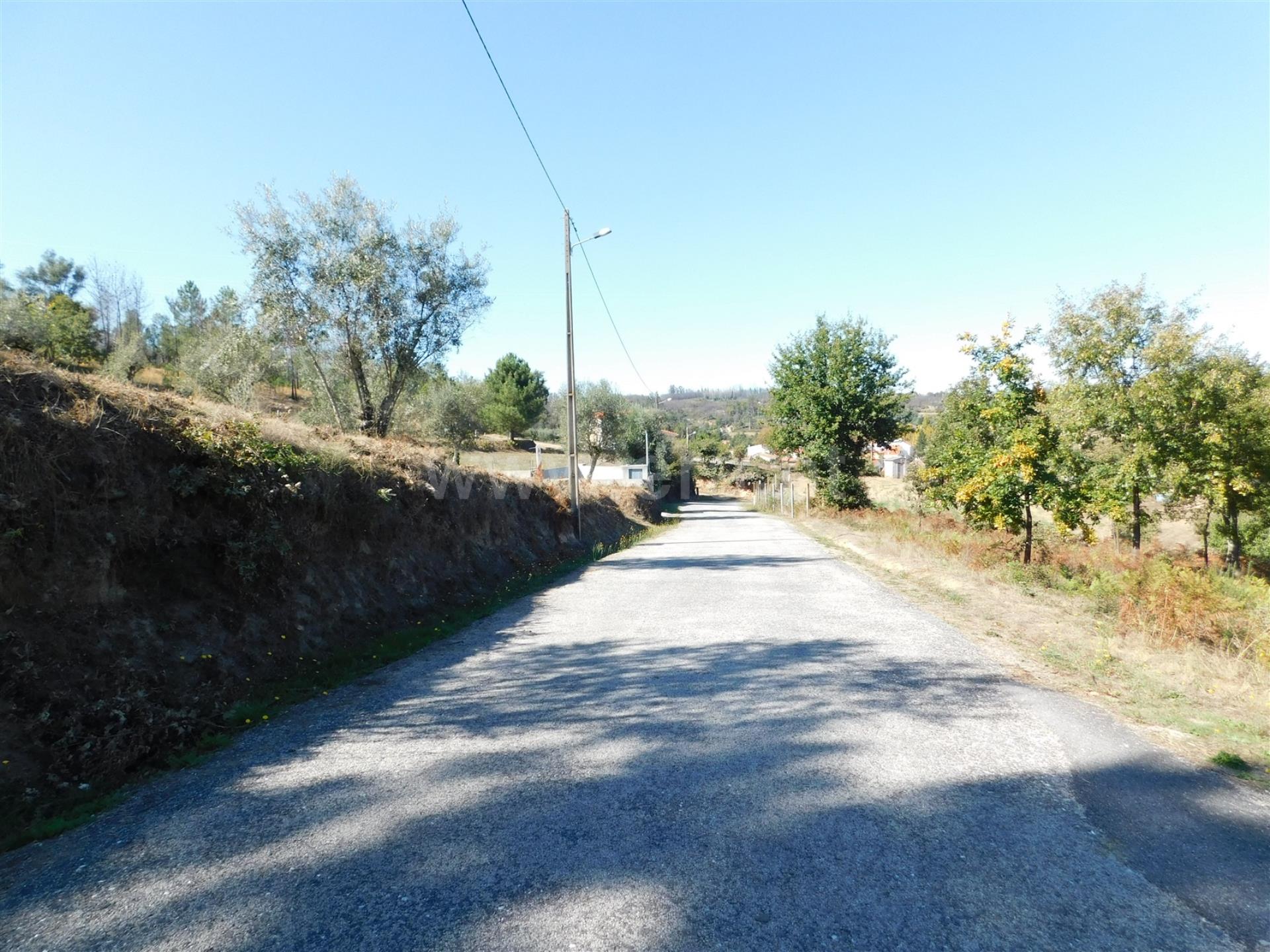 Rua