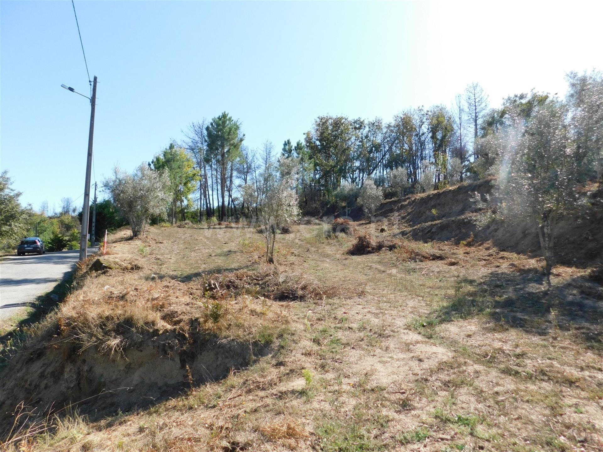 Terreno 
