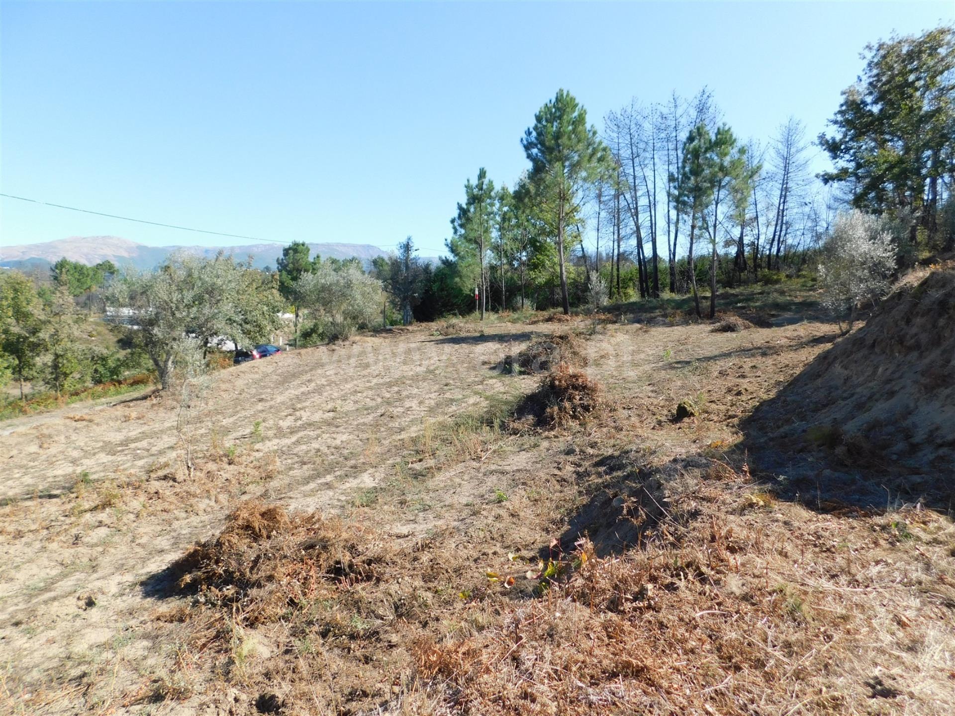 Terreno 