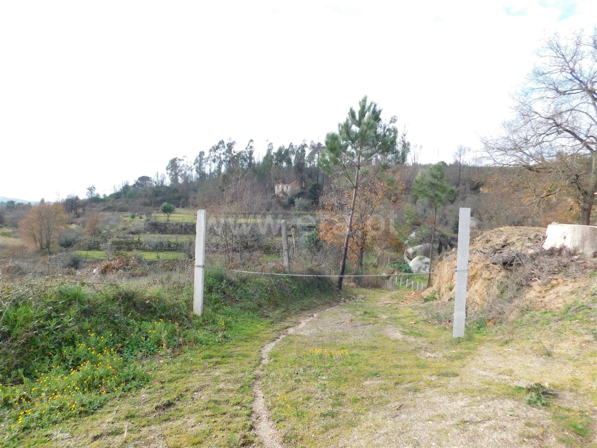 Terreno