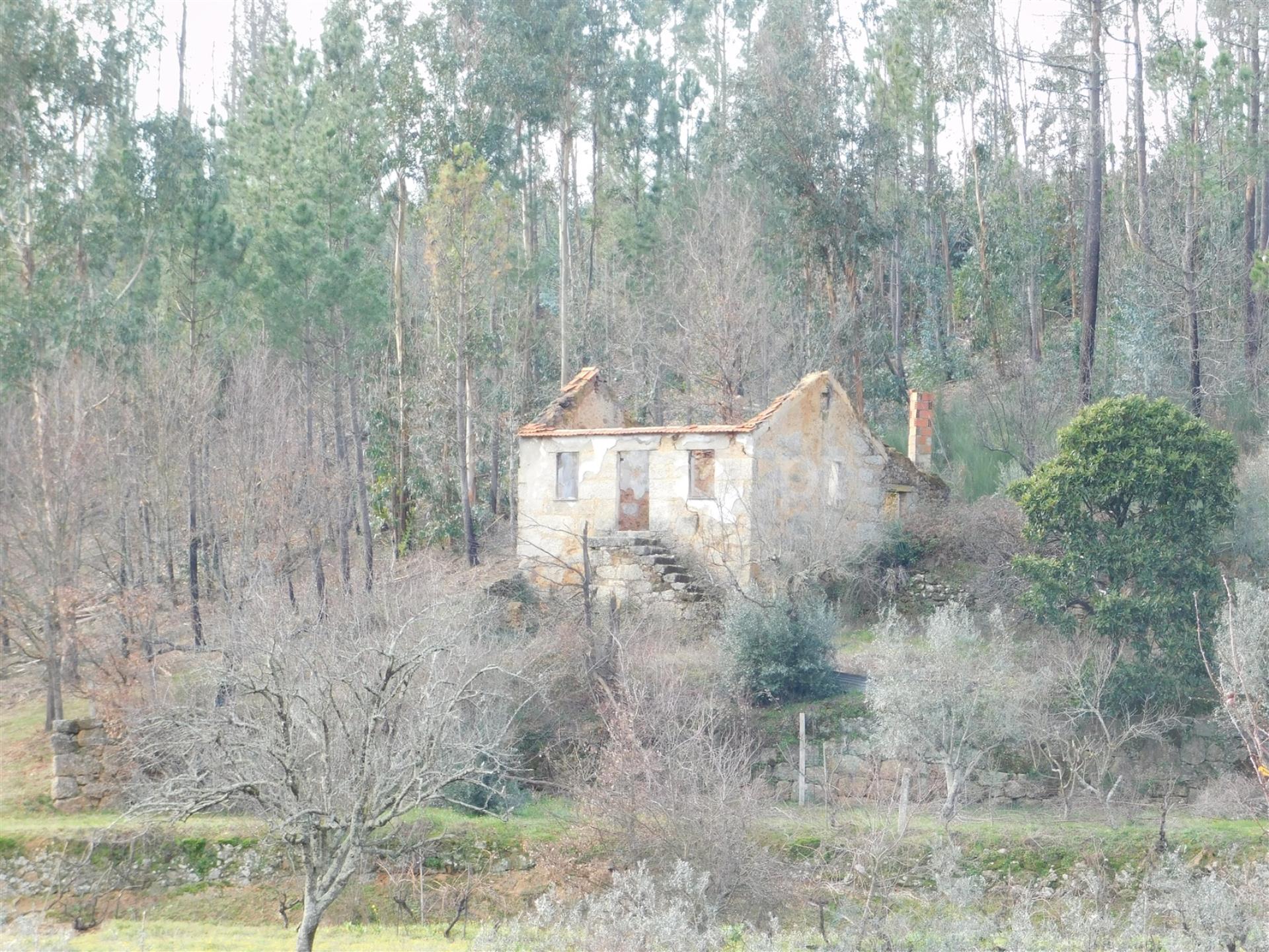 Terreno + Casa 