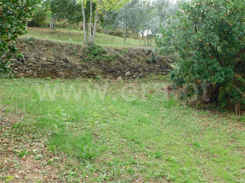Terreno  Seia, Vila Cova à Coelheira - 1362280 - 1