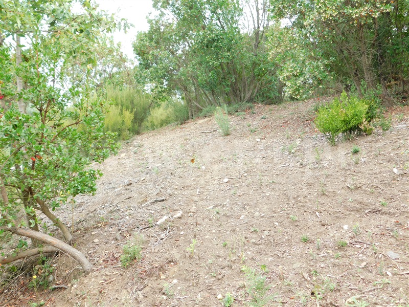 Terreno  Seia, Vila Cova à Coelheira - 1362280 - 2