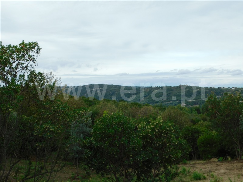 Terreno  Seia, Vila Cova à Coelheira - 1362280 - 3