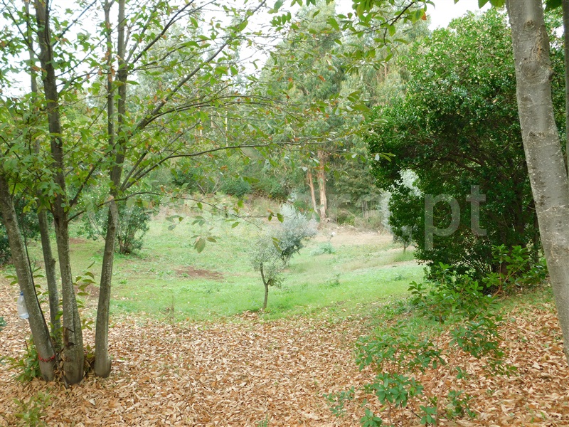 Terreno  Seia, Vila Cova à Coelheira - 1362280 - 6