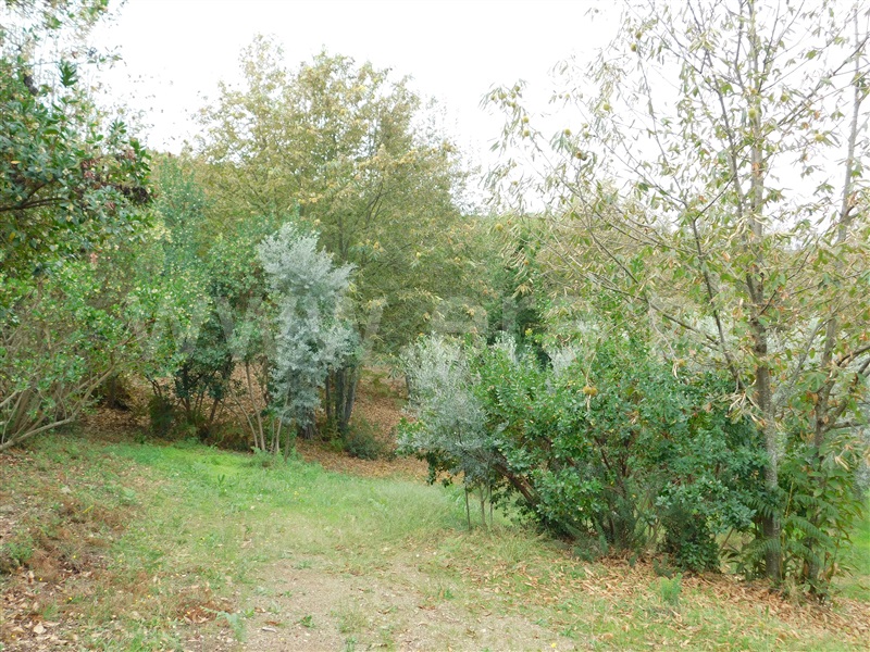 Terreno  Seia, Vila Cova à Coelheira - 1362280 - 7